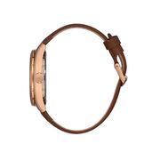 Ceas Daniel Klein Premium DK.1.13383.3