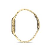 Ceas Daniel Klein Premium DK.1.13251.2