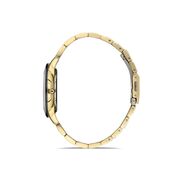 Ceas Daniel Klein Premium DK.1.13251.4