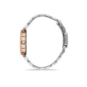 Ceas Daniel Klein Premium DK.1.13339.6