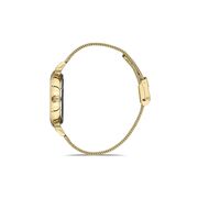 Ceas Daniel Klein Premium DK.1.13416.4