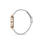 Ceas Daniel Klein Premium DK.1.13416.6