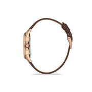 Ceas Daniel Klein Premium DK.1.13419.3