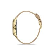 Ceas Daniel Klein Premium DK.1.13419.4