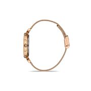 Ceas Daniel Klein Premium DK.1.13426.6