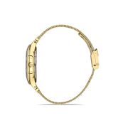 Ceas Daniel Klein Premium DK.1.13429.3