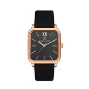 Ceas Daniel Klein Premium DK.1.13431.5