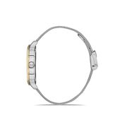 Ceas Daniel Klein Trendy DK.1.13354.3