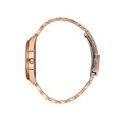 Ceas Freelook Eiffel FL.1.10379.5