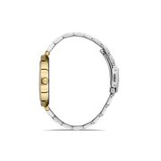 Ceas Freelook Lumiere FL.1.10370.2