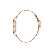 Ceas Daniel Klein Premium DK.1.13460.5