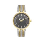 Ceas Daniel Klein Premium DK.1.13469.3