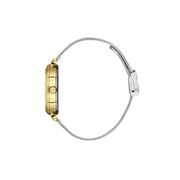 Ceas Daniel Klein Premium DK.1.13469.3