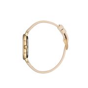 Ceas Daniel Klein Premium DK.1.13471.4