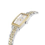 Ceas Daniel Klein Premium DK.1.13480.3