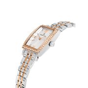 Ceas Daniel Klein Premium DK.1.13480.4