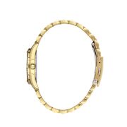 Ceas Daniel Klein Premium DK.1.13488.2