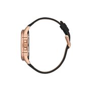 Ceas Daniel Klein Premium DK.1.13542.5