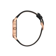 Ceas Daniel Klein Premium DK.1.13459.6