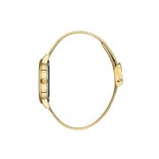 Ceas Daniel Klein Premium DK.1.13460.3