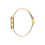 Ceas Daniel Klein Premium DK.1.13460.4