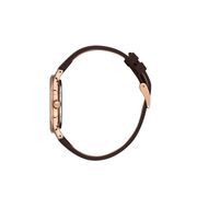 Ceas Daniel Klein Premium DK.1.13471.5