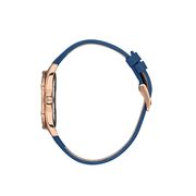 Ceas Daniel Klein Premium DK.1.13485.5