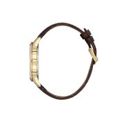 Ceas Daniel Klein Premium DK.1.13652.4