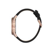 Ceas Daniel Klein Premium DK.1.13666.3