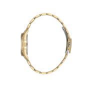 Ceas Daniel Klein Arcadia DK.1.13689.2