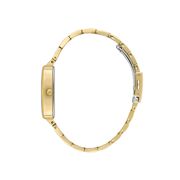 Ceas Daniel Klein Fiord DK.1.13704.3