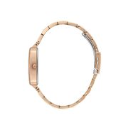 Ceas Daniel Klein Fiord DK.1.13704.5