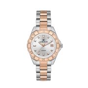 Ceas Daniel Klein Premium DK.1.13582.6