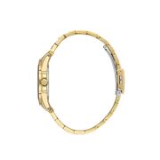 Ceas Daniel Klein Premium DK.1.13585.3