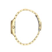 Ceas Daniel Klein Premium DK.1.13592.4