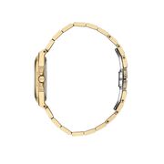 Ceas Daniel Klein Premium DK.1.13611.5