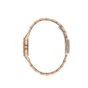 Ceas Daniel Klein Premium DK.1.13619.5