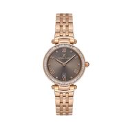 Ceas Daniel Klein Premium DK.1.13621.5