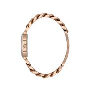 Ceas Daniel Klein Premium DK.1.13627.5