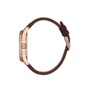 Ceas Daniel Klein Premium DK.1.13668.6