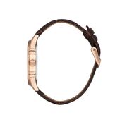 Ceas Daniel Klein Premium DK.1.13669.4