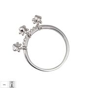 Inel argint labute zirconii Ashi marimea 56