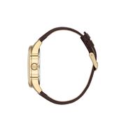 Ceas Daniel Klein Premium DK.1.13819.4