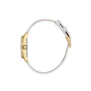 Ceas Daniel Klein Premium DK.1.13759.4