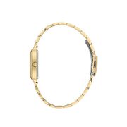 Ceas Daniel Klein Premium DK.1.13785.2