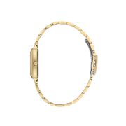 Ceas Daniel Klein Premium DK.1.13785.3