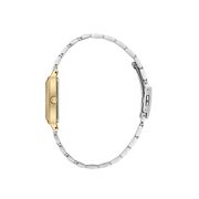 Ceas Daniel Klein Premium DK.1.13785.4