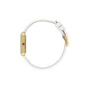 Ceas Daniel Klein Premium DK.1.13787.4