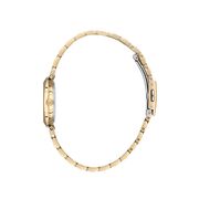 Ceas Daniel Klein Premium DK.1.13788.3