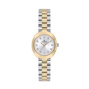 Ceas Daniel Klein Premium DK.1.13788.4